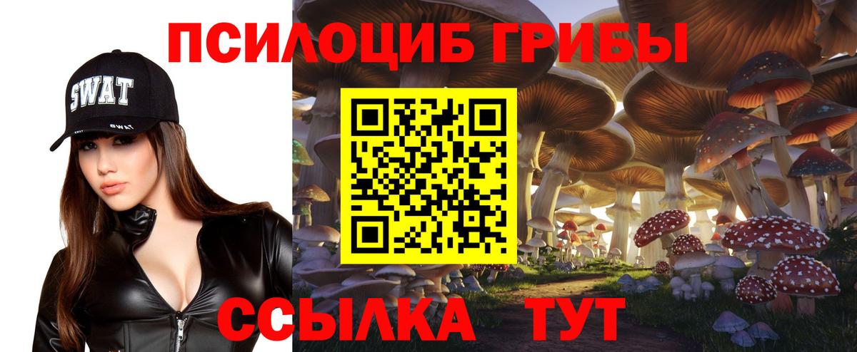 Ишимбай  Галлюциногенные грибы прущие грибы  закладка  Псилоцибиновые грибы Psilocybe  Вход с VPN 